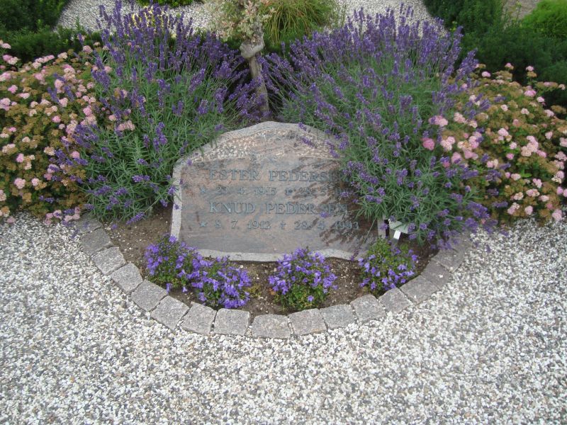 Knud Pedersen.JPG